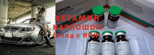 крисы Няндома