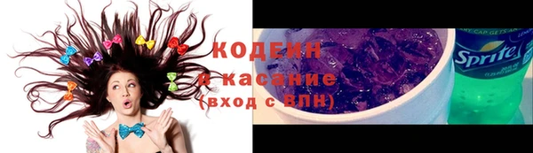 крисы Няндома