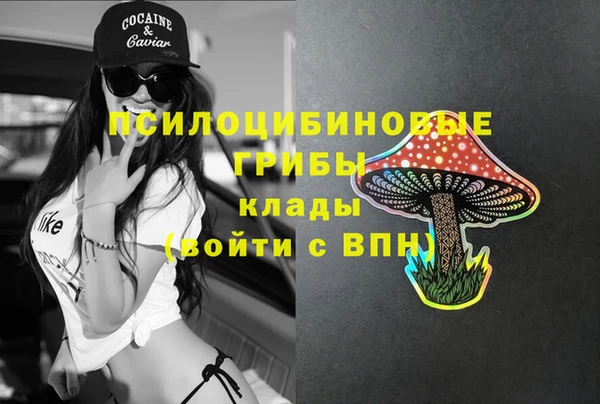 крисы Няндома