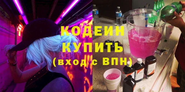 крисы Няндома