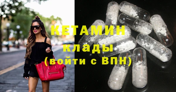 крисы Няндома