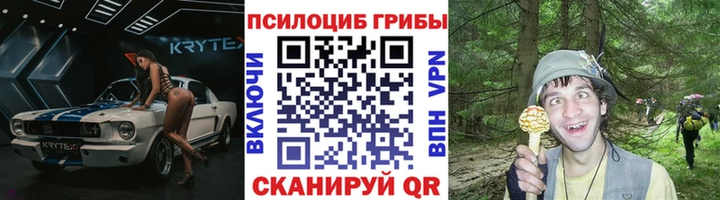Псилоцибиновые грибы Psilocybe  Лыткарино