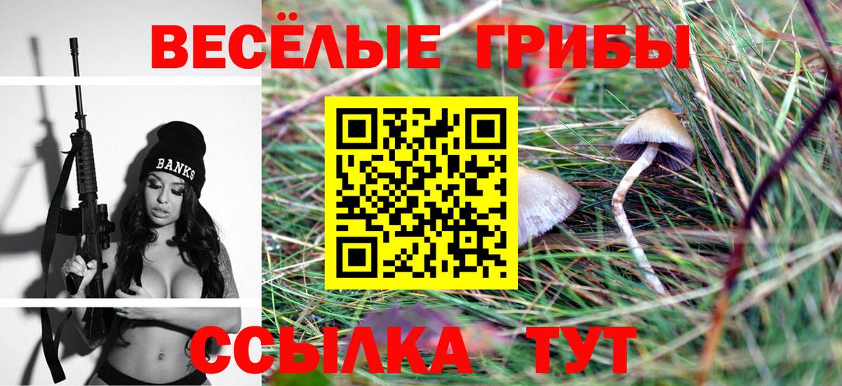 Галлюциногенные грибы Magic Shrooms  Вход с VPN  Лыткарино 