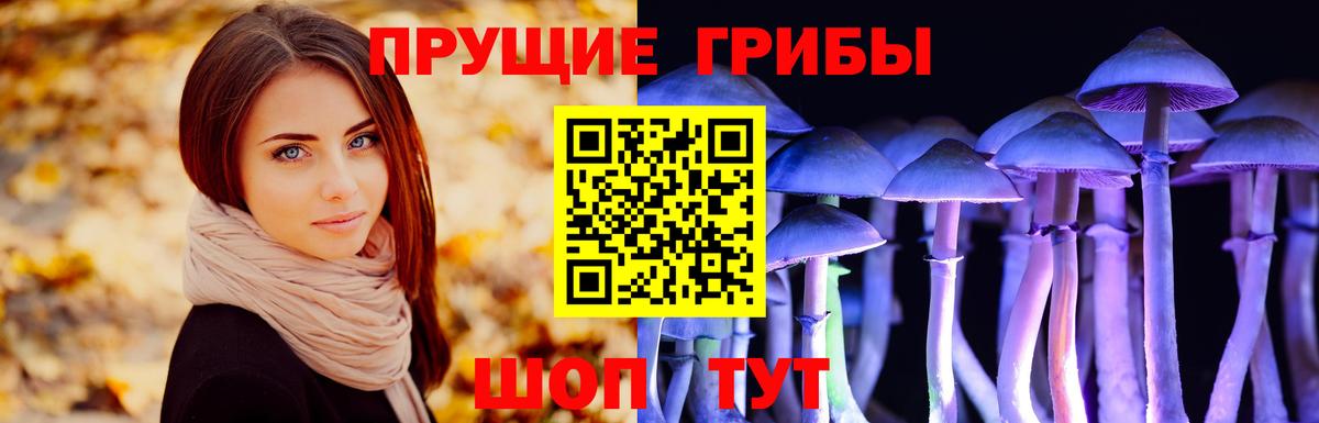 Альфа ПВП Лыткарино